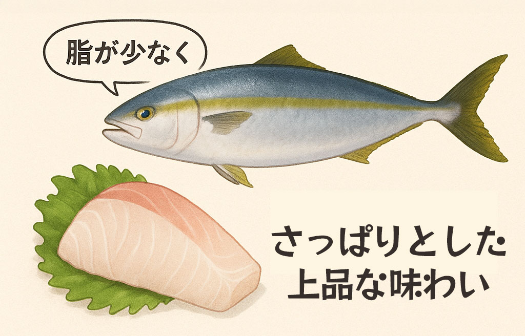 ヒラマサの味わいの特徴