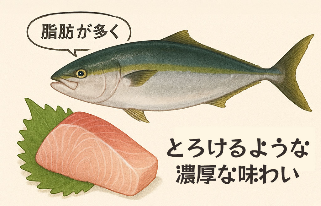ブリの味わいの特徴