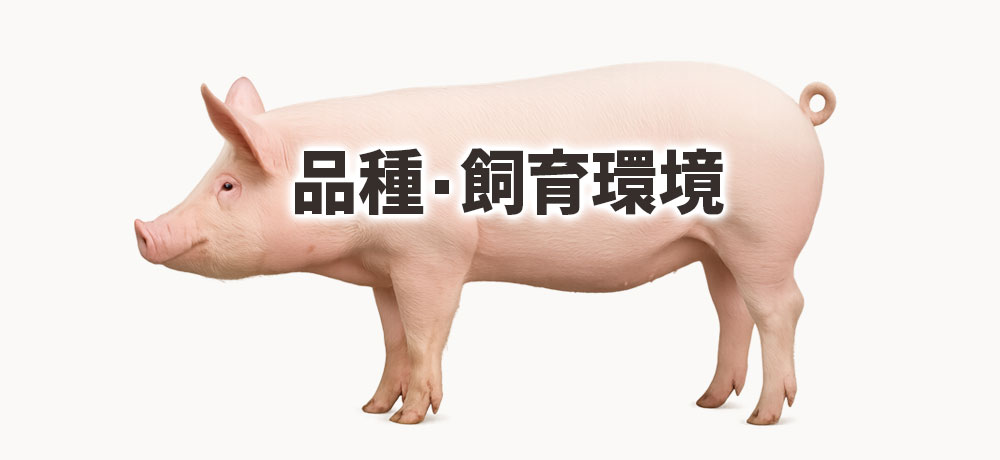 品種・飼育環境が味に与える影響とは？