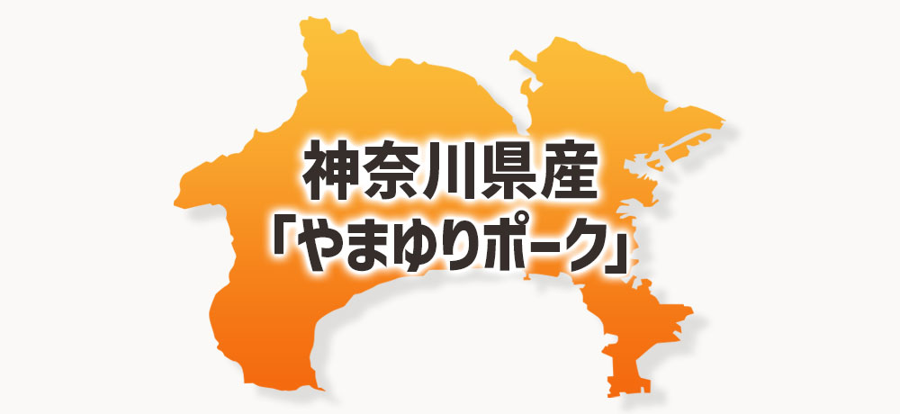 神奈川県産「やまゆりポーク」