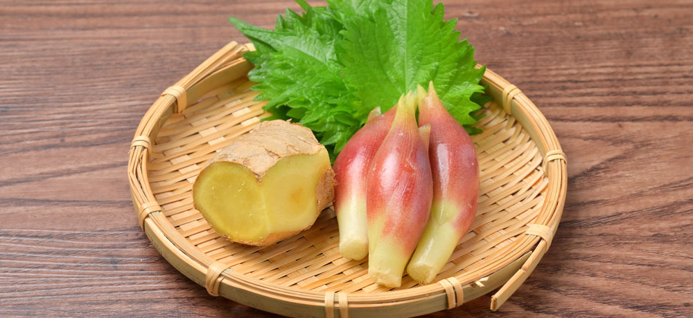 刺身に合う薬味