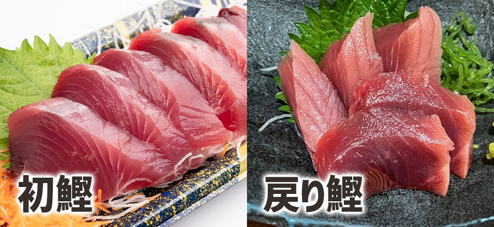 見た目や身質の違い：色合いと食感の比較