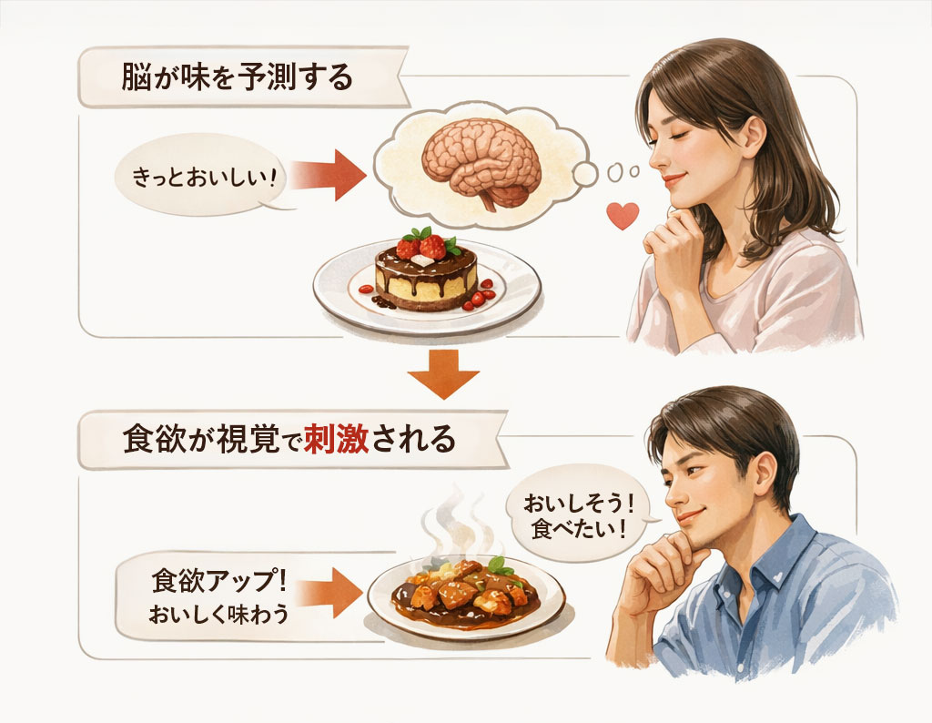 視覚が味覚に与える影響とは？