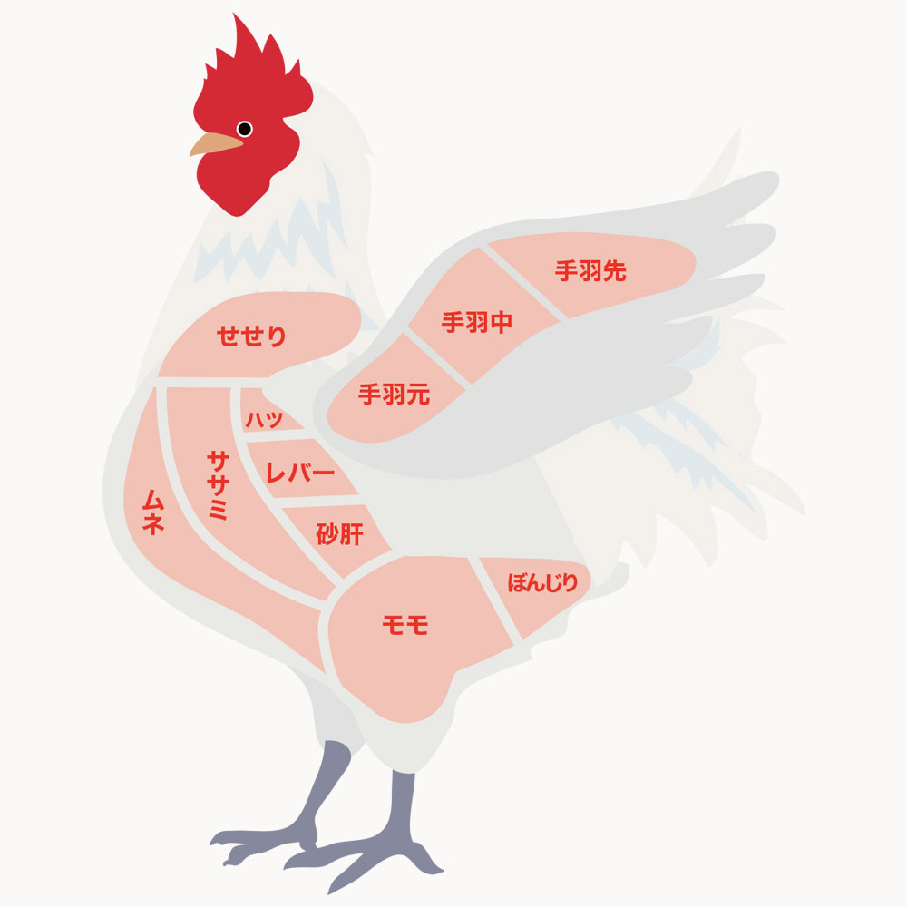 鶏肉の各部位の特徴を徹底解説