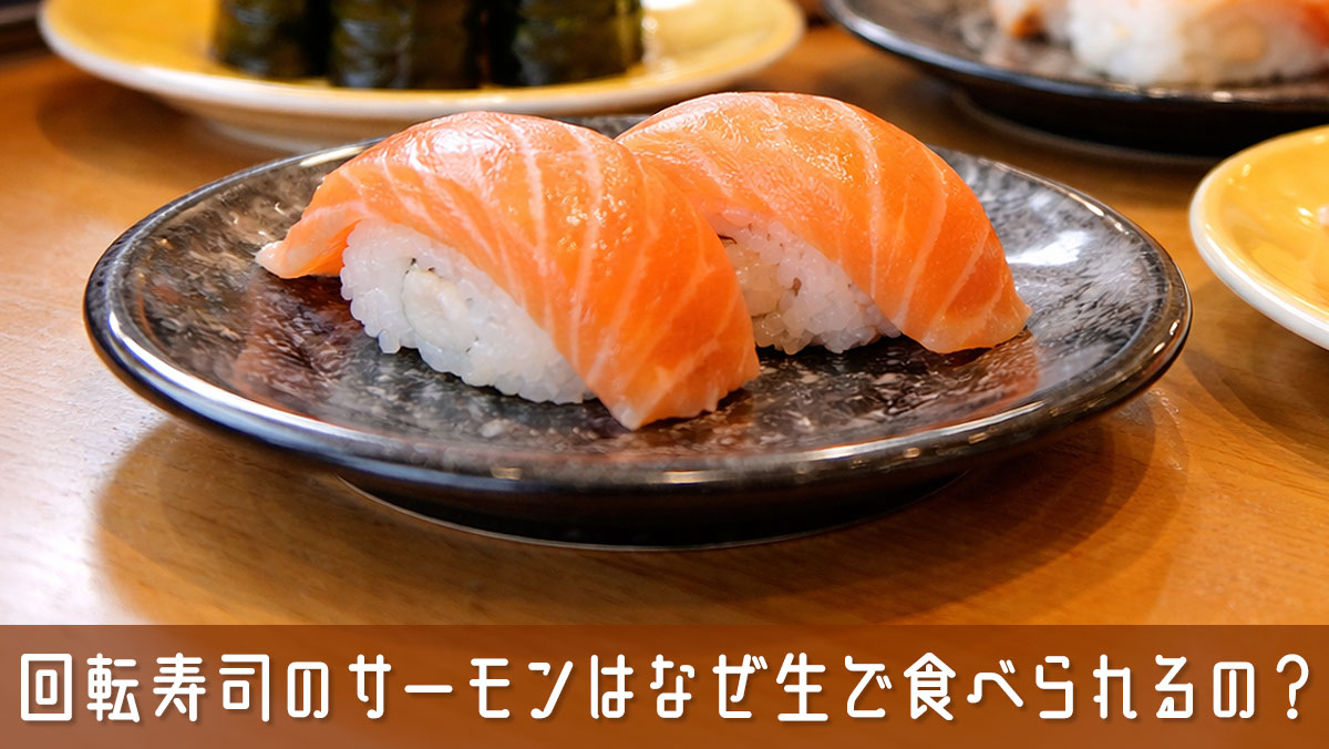 回転寿司のサーモンはなぜ生で食べられるの？種類や鮭との違いまで解説