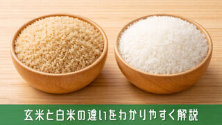 玄米と白米の違いをわかりやすく解説！それぞれの特徴と選び方のコツ