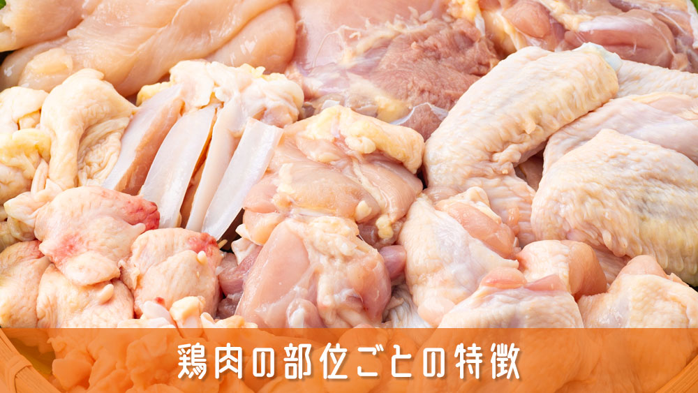 鶏肉の部位ごとの特徴を知って鶏肉料理を美味しく！選び方から調理法まで