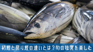 初鰹と戻り鰹の違いとは？旬の味覚を最大限に楽しむコツを紹介