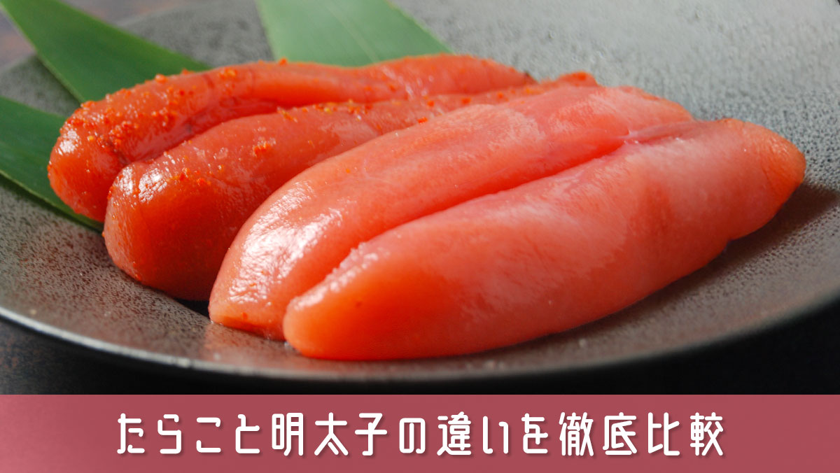 たらこと明太子の違いを徹底比較！料理や買い物に役立つ選び方ガイド