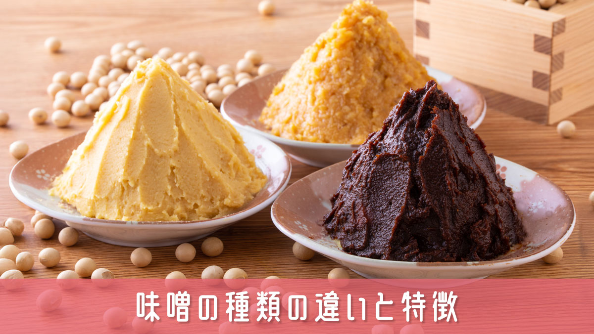 味噌選びで味が決まる！種類の違いと特徴を知ると料理がもっと美味しくなる