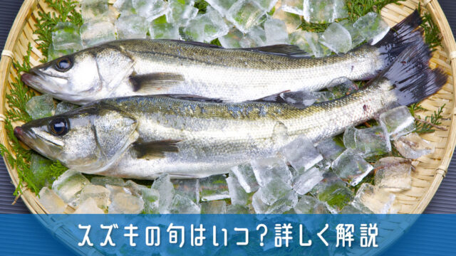 スズキの旬はいつ？美味しさの理由や選び方から保存方法まで詳しく解説