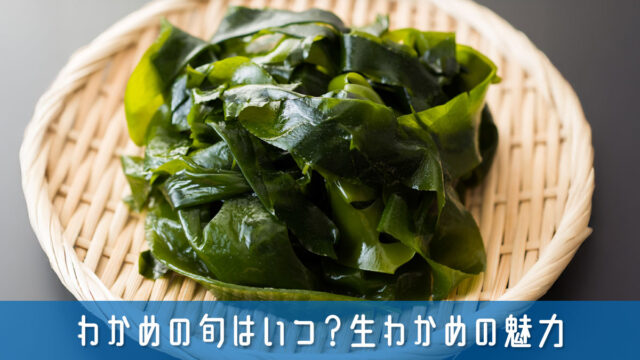 わかめの旬はいつ？プリプリ食感と磯の香りを味わえる生わかめの魅力