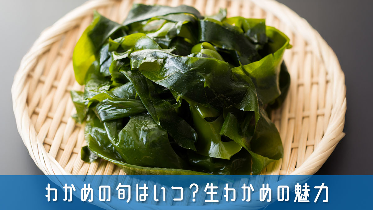 わかめの旬はいつ？プリプリ食感と磯の香りを味わえる生わかめの魅力