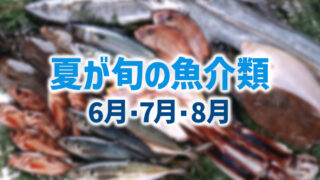 夏（6月・7月・8月）が旬の魚介類