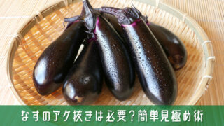 なすのアク抜きは必要？料理初心者でも迷わない簡単見極め術