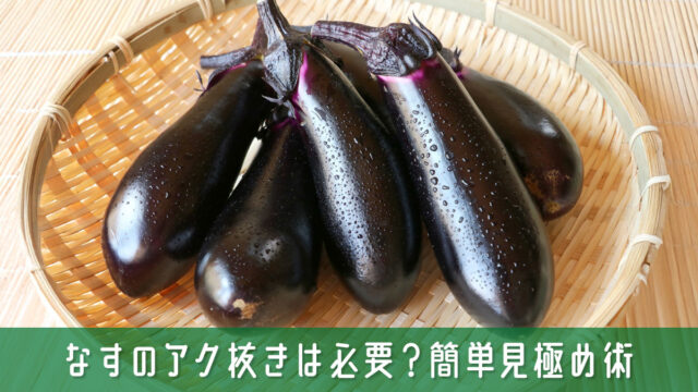 なすのアク抜きは必要？料理初心者でも迷わない簡単見極め術