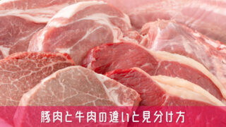 豚肉と牛肉の違いと見分け方を料理初心者でも一目でわかるように解説