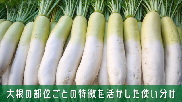 大根の部位ごとの特徴を活かした使い分けをすると料理が劇的においしくなる