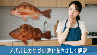 メバルとカサゴの違いをやさしく解説！家庭料理に役立つ基礎知識