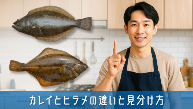 カレイとヒラメの違いと見分け方！違いを知って料理で活かす完全ガイド