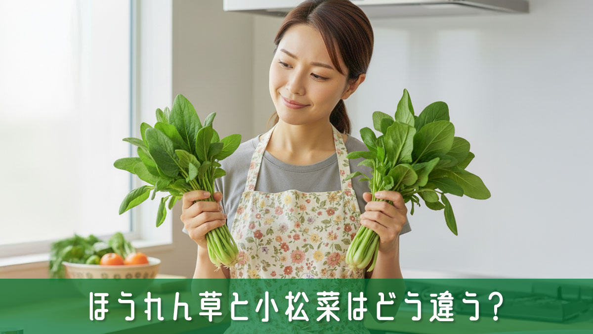 ほうれん草と小松菜はどう違う？見た目や味の比較から使いこなしまで解説