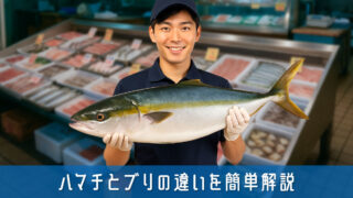 ハマチとブリの違いを簡単解説！回転寿司でも迷わなくなる意外な真実