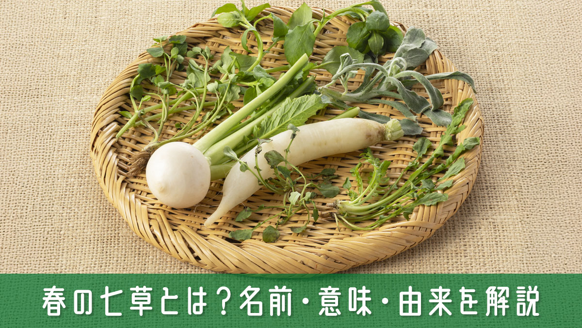 春の七草とは？7種類の草の名前・意味・由来・食べ方まで丸ごと解説