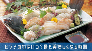 ヒラメの旬はいつ？最も美味しくなる時期と美味しさの秘密を簡単解説