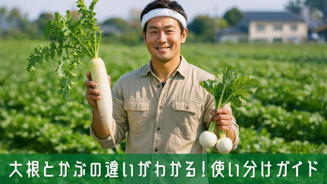 大根とかぶの違いがわかる！毎日の料理にいかせる使い分けガイド