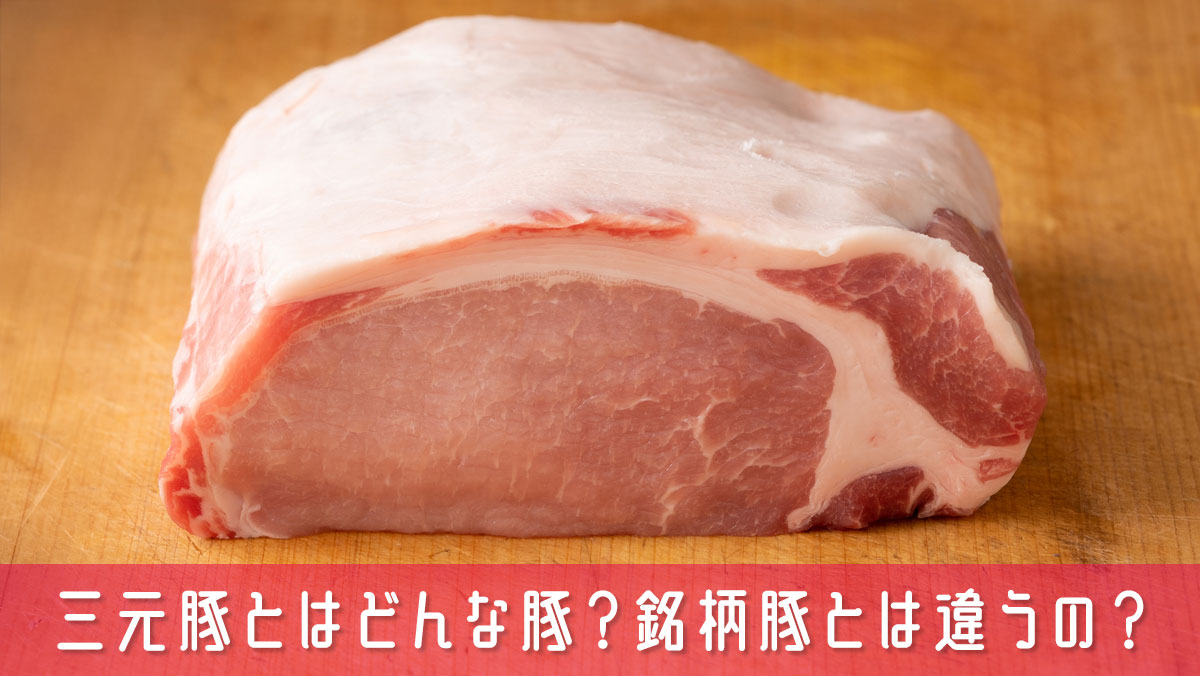 三元豚とはどんな豚？銘柄豚とは違うの？料理初心者向けに簡単解説