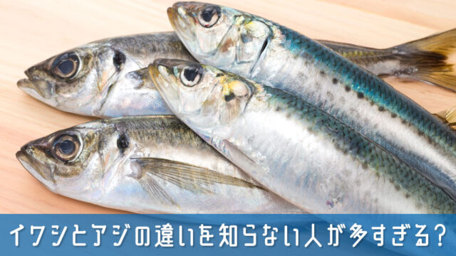 イワシとアジの違いを知らない人が多すぎる？見分け方と使い分けの基礎知識