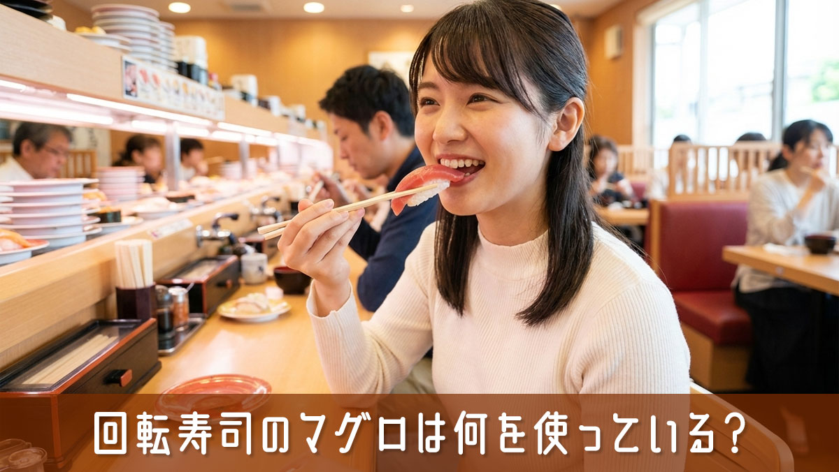回転寿司のマグロは何を使っている？知っておきたい味の違いを解説