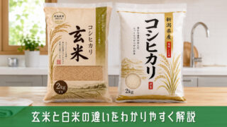 玄米と白米の違いをわかりやすく解説！それぞれの特徴と選び方のコツ