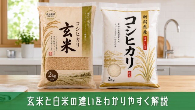 玄米と白米の違いをわかりやすく解説！それぞれの特徴と選び方のコツ