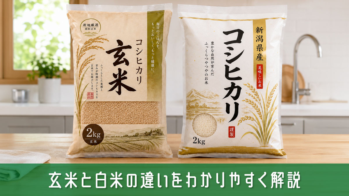 玄米と白米の違いをわかりやすく解説！それぞれの特徴と選び方のコツ
