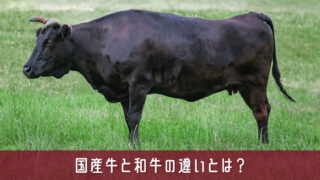 国産牛と和牛の違いとは？品種・味・値段・表示の見分け方をわかりやすく解説
