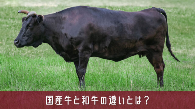 国産牛と和牛の違いとは？品種・味・値段・表示の見分け方をわかりやすく解説
