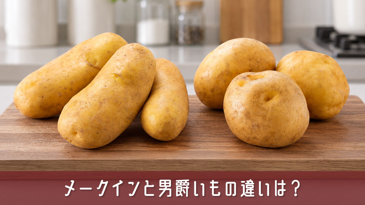 メークインと男爵いもの違いは？カレー・肉じゃが・ポテサラで迷わない料理別の使い分け