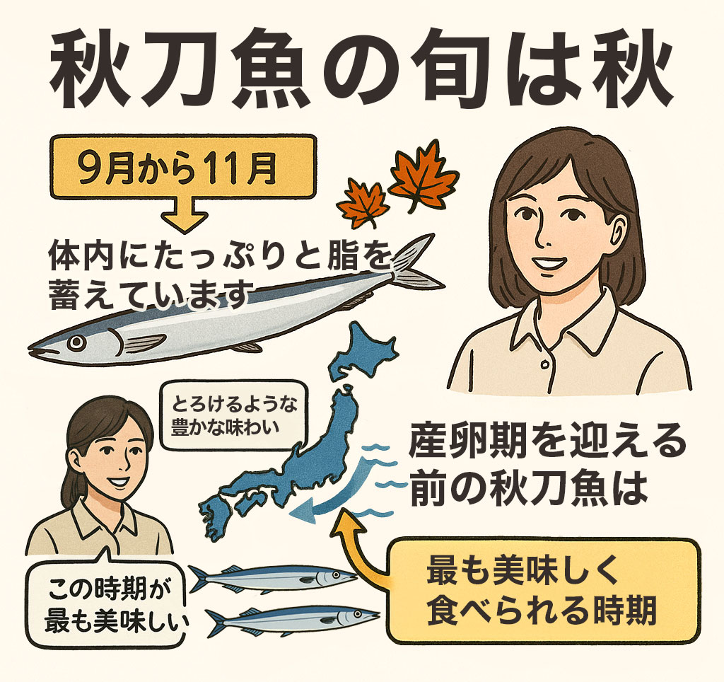 秋刀魚について