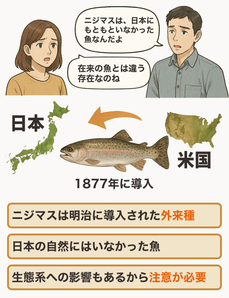 ニジマスは日本古来の「在来種」ではなく、「外来種」です。
