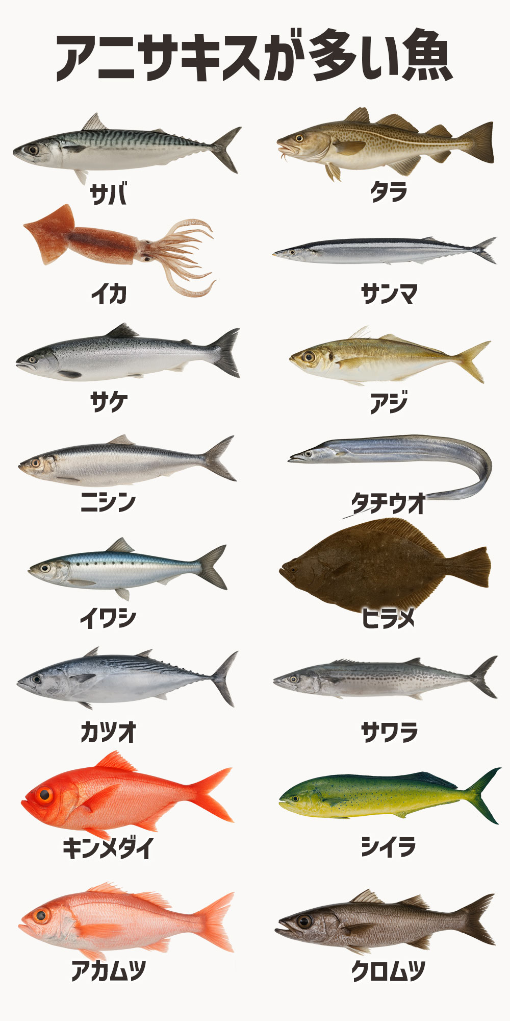 アニサキスが多く寄生している魚