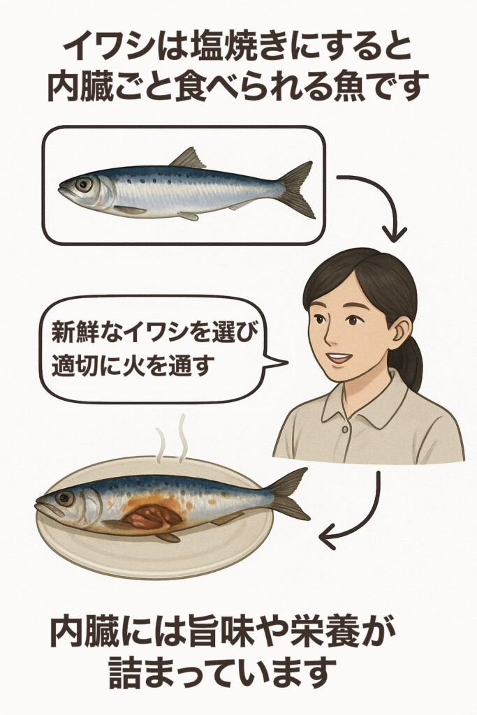 イワシは塩焼きにすると内臓ごと食べられる魚です。