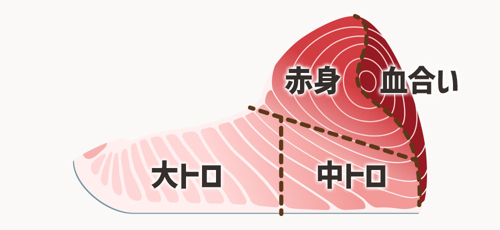 大トロ、中トロ、赤身、血合い