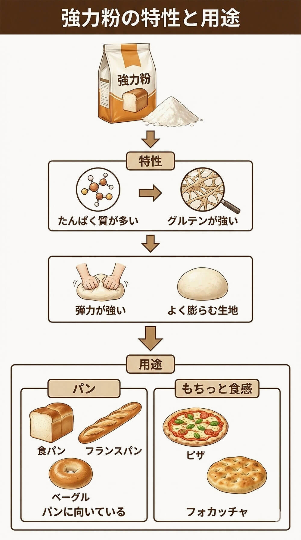 強力粉の特徴：パンやピザ生地に欠かせない