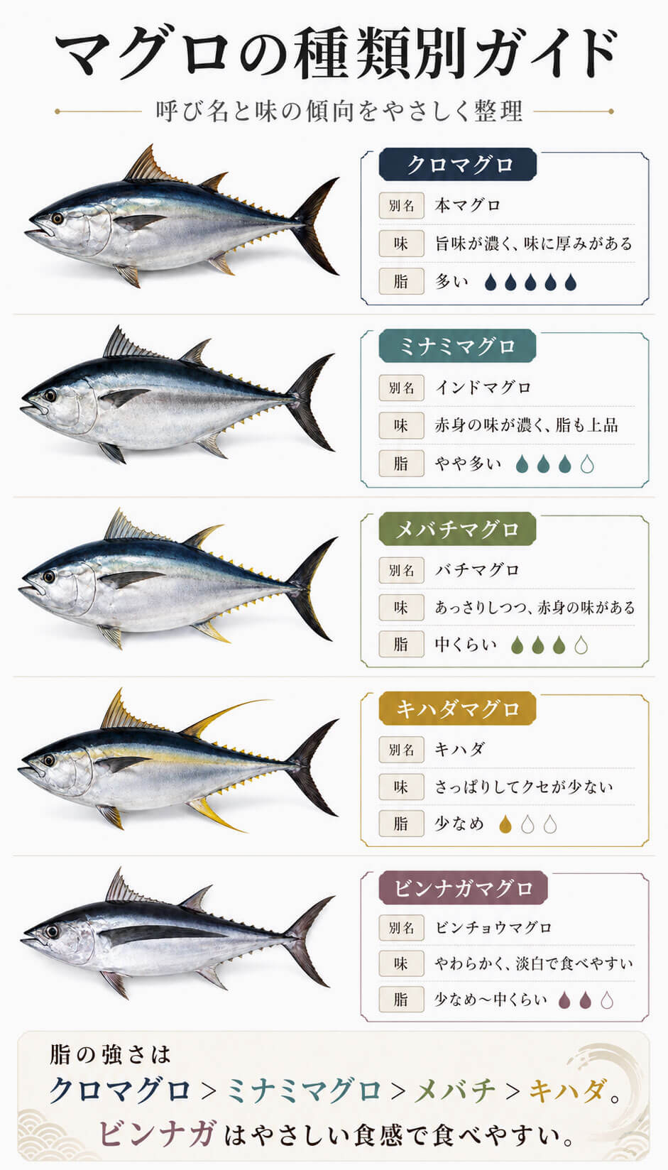 マグロの種類は主に5種類｜まず違いを一覧で比較