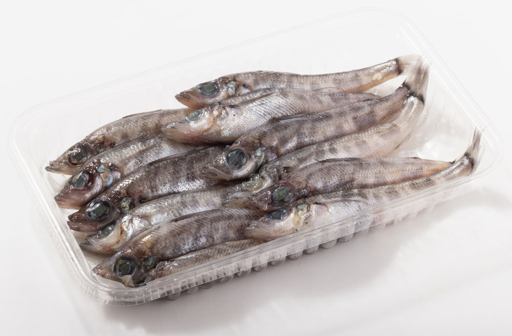 メヒカリ