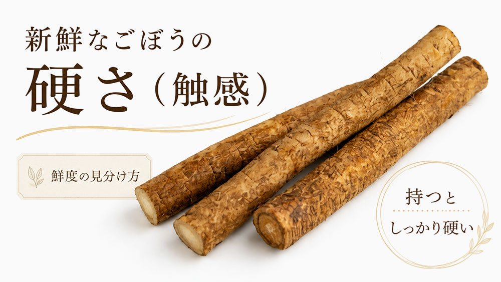新鮮なごぼうの硬さ（触感）