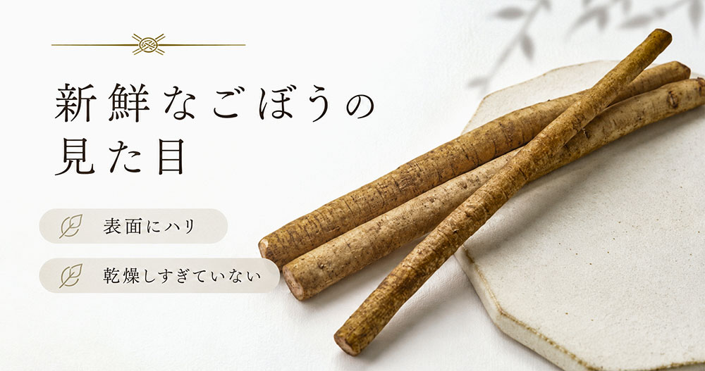 新鮮なごぼうの見た目