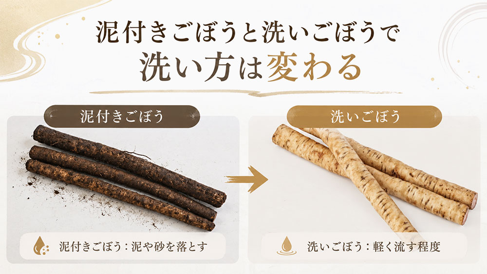 泥付きごぼうと洗いごぼうで洗い方は変わる