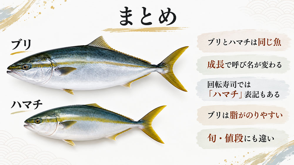 ハマチとブリは同じ魚！呼び名の違い：まとめ